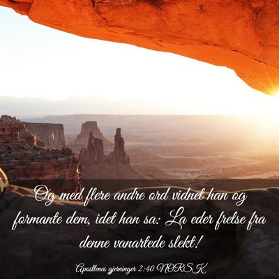 Picture 03 - Apostlenes gjerninger 2:40 NORSK - Og med flere andre ord vidnet han og formante - Bible Verse Picture