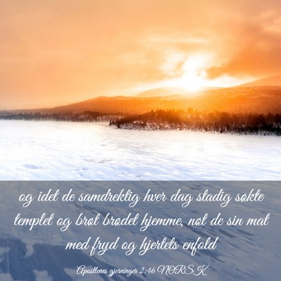 Picture 03 - Apostlenes gjerninger 2:46 NORSK - og idet de samdrektig hver dag stadig søkte - Bible Verse Picture