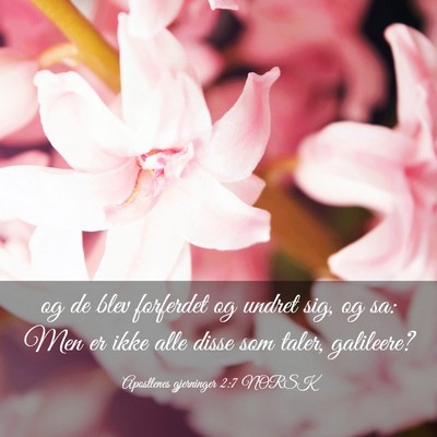 Picture 03 - Apostlenes gjerninger 2:7 NORSK - og de blev forferdet og undret sig, og sa: Men er - Bible Verse Picture