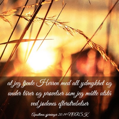 Picture 03 - Apostlenes gjerninger 20:19 NORSK - at jeg tjente Herren med all ydmykhet og under - Bible Verse Picture