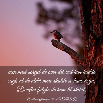 Picture 03 - Apostlenes gjerninger 20:38 NORSK - men mest sørget de over det ord han hadde sagt, - Bible Verse Picture