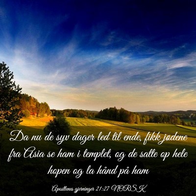 Picture 03 - Apostlenes gjerninger 21:27 NORSK - Da nu de syv dager led til ende, fikk jødene fra - Bible Verse Picture
