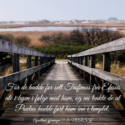 Picture 03 - Apostlenes gjerninger 21:29 NORSK - For de hadde før sett Trofimus fra Efesus ute i - Bible Verse Picture