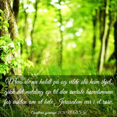 Picture 03 - Apostlenes gjerninger 21:31 NORSK - Mens de nu holdt på og vilde slå ham ihjel, - Bible Verse Picture