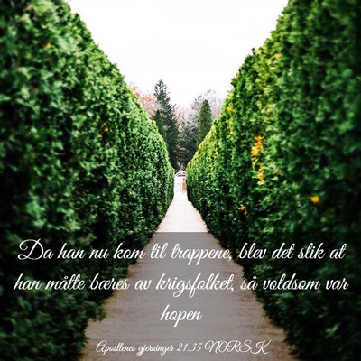 Picture 03 - Apostlenes gjerninger 21:35 NORSK - Da han nu kom til trappene, blev det slik at han - Bible Verse Picture
