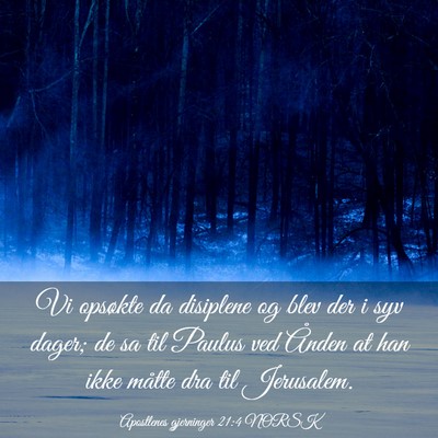 Picture 03 - Apostlenes gjerninger 21:4 NORSK - Vi opsøkte da disiplene og blev der i syv dager; - Bible Verse Picture