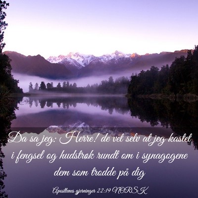 Picture 03 - Apostlenes gjerninger 22:19 NORSK - Da sa jeg: Herre! de vet selv at jeg kastet i - Bible Verse Picture
