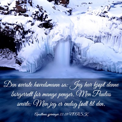 Picture 03 - Apostlenes gjerninger 22:28 NORSK - Den øverste høvedsmann sa: Jeg har kjøpt denne - Bible Verse Picture