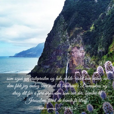 Picture 03 - Apostlenes gjerninger 22:5 NORSK - som også ypperstepresten og hele eldste-rådet - Bible Verse Picture