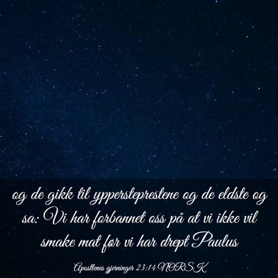 Picture 03 - Apostlenes gjerninger 23:14 NORSK - og de gikk til yppersteprestene og de eldste og - Bible Verse Picture