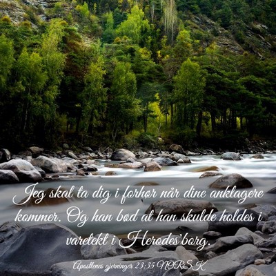 Picture 03 - Apostlenes gjerninger 23:35 NORSK - Jeg skal ta dig i forhør når dine anklagere - Bible Verse Picture