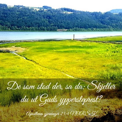 Picture 03 - Apostlenes gjerninger 23:4 NORSK - De som stod der, sa da: Skjeller du ut Guds - Bible Verse Picture