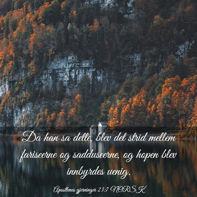Picture 03 - Apostlenes gjerninger 23:7 NORSK - Da han sa dette, blev det strid mellem fariseerne - Bible Verse Picture