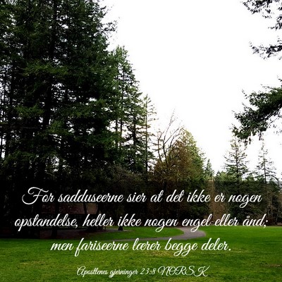 Picture 03 - Apostlenes gjerninger 23:8 NORSK - For sadduseerne sier at det ikke er nogen - Bible Verse Picture