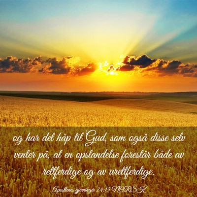 Picture 03 - Apostlenes gjerninger 24:15 NORSK - og har det håp til Gud, som også disse selv - Bible Verse Picture