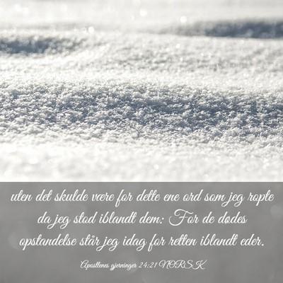 Picture 03 - Apostlenes gjerninger 24:21 NORSK - uten det skulde være for dette ene ord som jeg - Bible Verse Picture