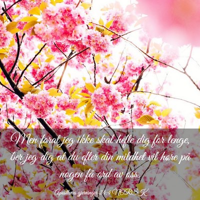 Picture 03 - Apostlenes gjerninger 24:4 NORSK - Men forat jeg ikke skal hefte dig for lenge, ber - Bible Verse Picture