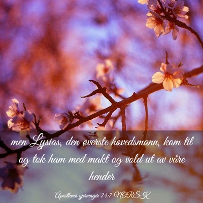 Picture 03 - Apostlenes gjerninger 24:7 NORSK - men Lysias, den øverste høvedsmann, kom til og - Bible Verse Picture