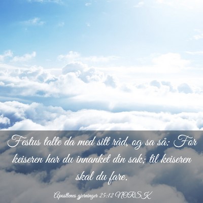 Picture 03 - Apostlenes gjerninger 25:12 NORSK - Festus talte da med sitt råd, og sa så: For - Bible Verse Picture