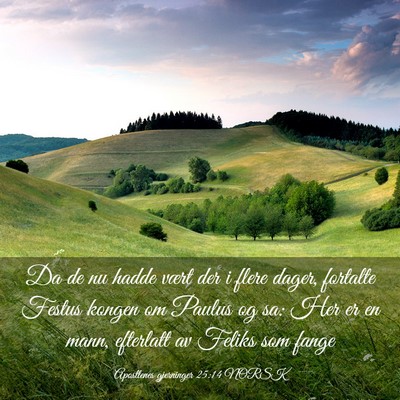 Picture 03 - Apostlenes gjerninger 25:14 NORSK - Da de nu hadde vært der i flere dager, fortalte - Bible Verse Picture