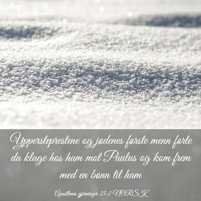 Picture 03 - Apostlenes gjerninger 25:2 NORSK - Yppersteprestene og jødenes første menn førte - Bible Verse Picture