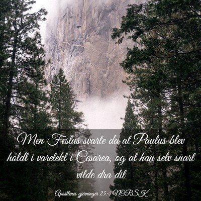 Picture 03 - Apostlenes gjerninger 25:4 NORSK - Men Festus svarte da at Paulus blev holdt i - Bible Verse Picture