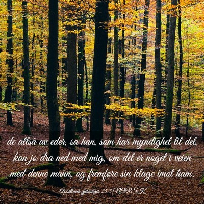 Picture 03 - Apostlenes gjerninger 25:5 NORSK - de altså av eder, sa han, som har myndighet til - Bible Verse Picture