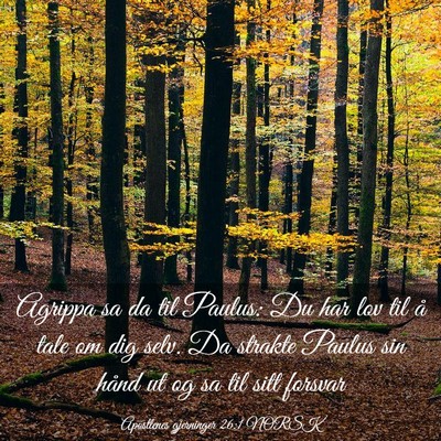 Picture 03 - Apostlenes gjerninger 26:1 NORSK - Agrippa sa da til Paulus: Du har lov til å tale - Bible Verse Picture