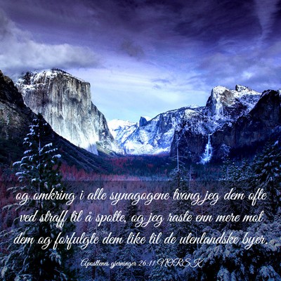 Picture 03 - Apostlenes gjerninger 26:11 NORSK - og omkring i alle synagogene tvang jeg dem ofte - Bible Verse Picture