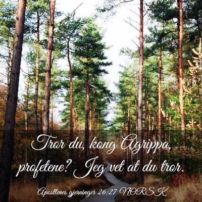 Picture 03 - Apostlenes gjerninger 26:27 NORSK - Tror du, kong Agrippa, profetene? Jeg vet at du - Bible Verse Picture