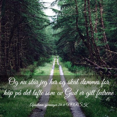 Picture 03 - Apostlenes gjerninger 26:6 NORSK - Og nu står jeg her og skal dømmes for håp på - Bible Verse Picture