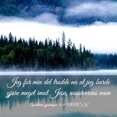 Picture 03 - Apostlenes gjerninger 26:9 NORSK - Jeg for min del trodde nu at jeg burde gjøre - Bible Verse Picture