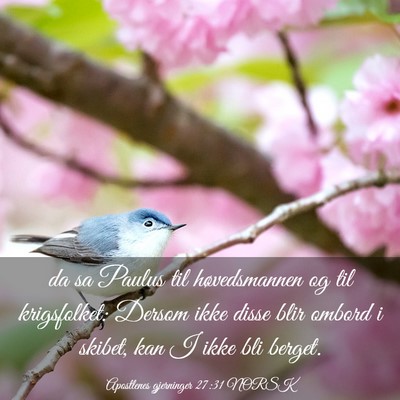 Picture 03 - Apostlenes gjerninger 27:31 NORSK - da sa Paulus til høvedsmannen og til - Bible Verse Picture