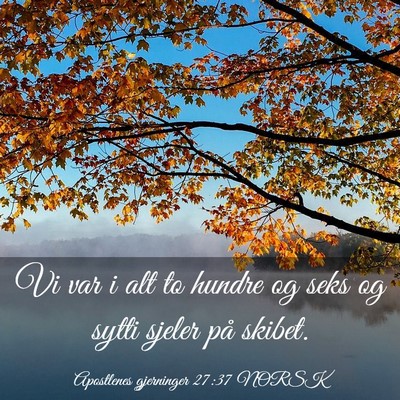 Picture 03 - Apostlenes gjerninger 27:37 NORSK - Vi var i alt to hundre og seks og sytti sjeler - Bible Verse Picture