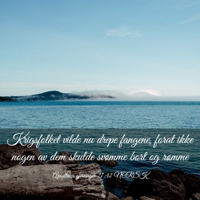 Picture 03 - Apostlenes gjerninger 27:42 NORSK - Krigsfolket vilde nu drepe fangene, forat ikke - Bible Verse Picture