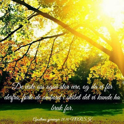Picture 03 - Apostlenes gjerninger 28:10 NORSK - De viste oss også stor ære, og da vi fór - Bible Verse Picture