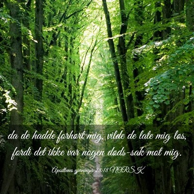 Picture 03 - Apostlenes gjerninger 28:18 NORSK - da de hadde forhørt mig, vilde de late mig løs, - Bible Verse Picture