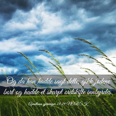 Picture 03 - Apostlenes gjerninger 28:29 NORSK - Og da han hadde sagt dette, gikk jødene bort og - Bible Verse Picture