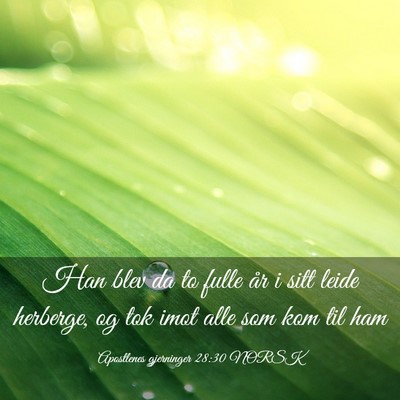 Picture 03 - Apostlenes gjerninger 28:30 NORSK - Han blev da to fulle år i sitt leide herberge, - Bible Verse Picture