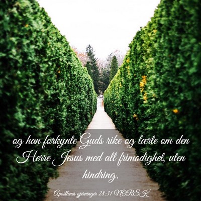 Picture 03 - Apostlenes gjerninger 28:31 NORSK - og han forkynte Guds rike og lærte om den Herre - Bible Verse Picture