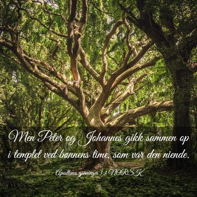 Picture 03 - Apostlenes gjerninger 3:1 NORSK - Men Peter og Johannes gikk sammen op i templet - Bible Verse Picture