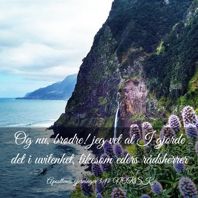 Picture 03 - Apostlenes gjerninger 3:17 NORSK - Og nu, brødre! jeg vet at I gjorde det i - Bible Verse Picture
