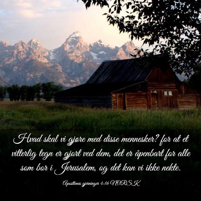Picture 03 - Apostlenes gjerninger 4:16 NORSK - Hvad skal vi gjøre med disse mennesker? for at - Bible Verse Picture