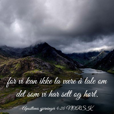 Picture 03 - Apostlenes gjerninger 4:20 NORSK - for vi kan ikke la være å tale om det som vi - Bible Verse Picture