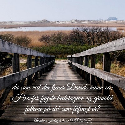 Picture 03 - Apostlenes gjerninger 4:25 NORSK - du som ved din tjener Davids munn sa: Hvorfor - Bible Verse Picture