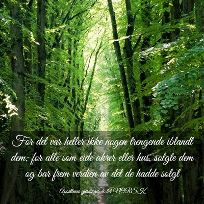 Picture 03 - Apostlenes gjerninger 4:34 NORSK - For det var heller ikke nogen trengende iblandt - Bible Verse Picture