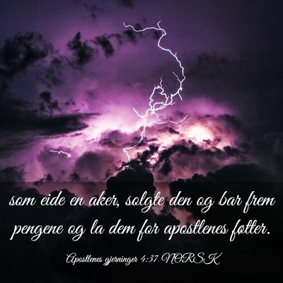 Picture 03 - Apostlenes gjerninger 4:37 NORSK - som eide en aker, solgte den og bar frem pengene - Bible Verse Picture