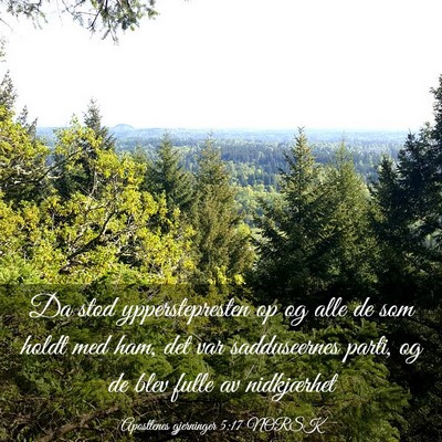 Picture 03 - Apostlenes gjerninger 5:17 NORSK - Da stod ypperstepresten op og alle de som holdt - Bible Verse Picture