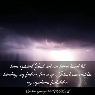 Picture 03 - Apostlenes gjerninger 5:31 NORSK - ham ophøiet Gud ved sin høire hånd til - Bible Verse Picture