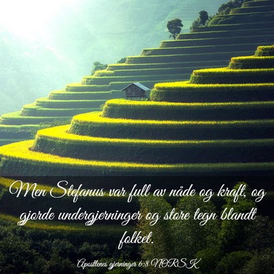 Picture 03 - Apostlenes gjerninger 6:8 NORSK - Men Stefanus var full av nåde og kraft, og - Bible Verse Picture